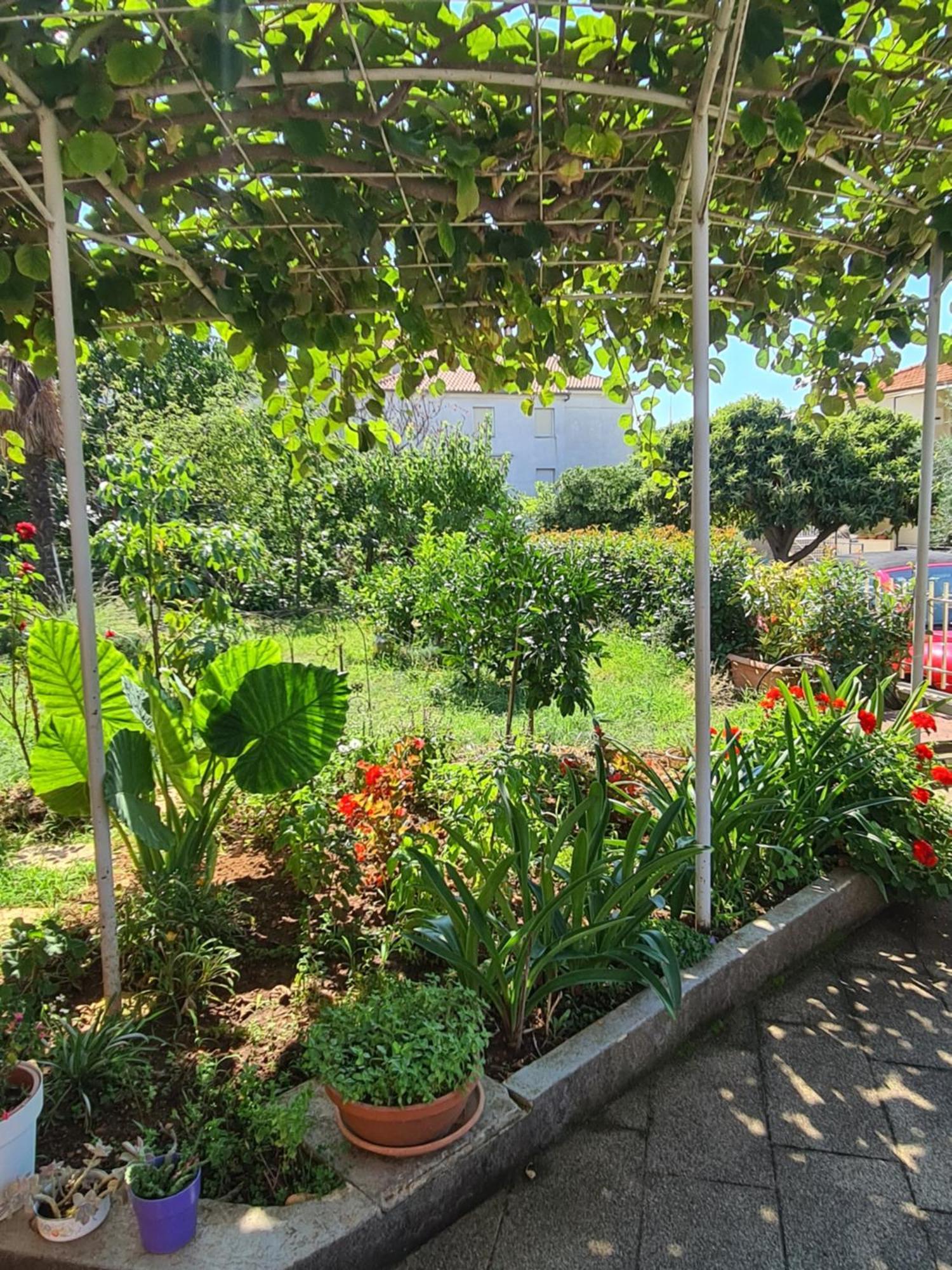 Apartments Ada Rovinj Ngoại thất bức ảnh
