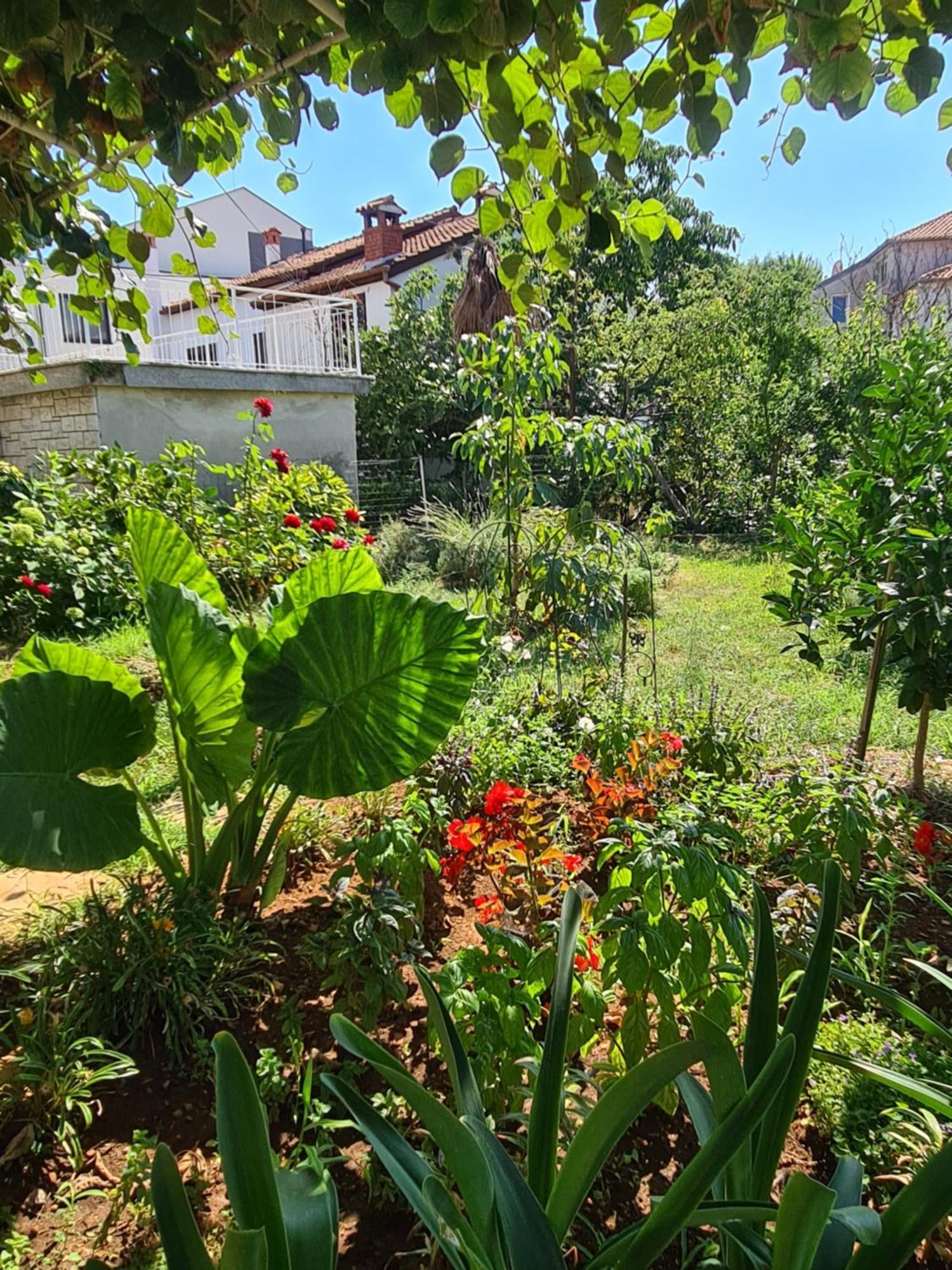 Apartments Ada Rovinj Ngoại thất bức ảnh